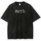 Frieren Unisex Fit Washed T-Shirt 2507030501