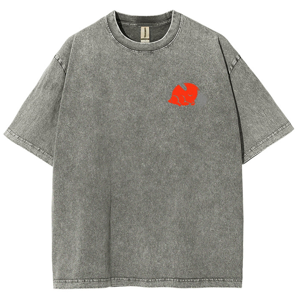 Chainsaw Man Unisex Fit Washed T-Shirt 2510001359
